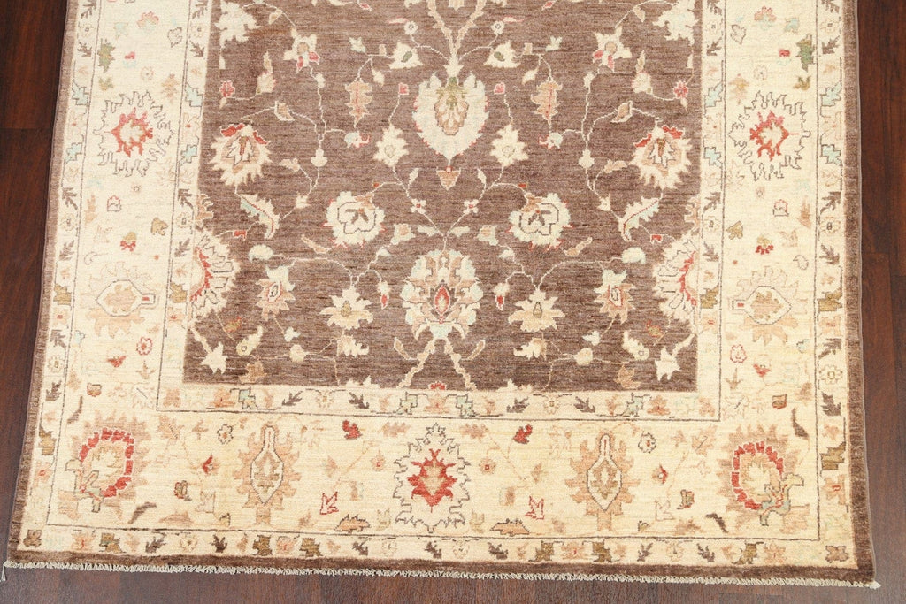 Vegetable Dye Peshawar Oriental Area Rug 6x9