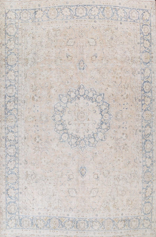 Muted Distressed Kerman Persian Area Rug 10x13