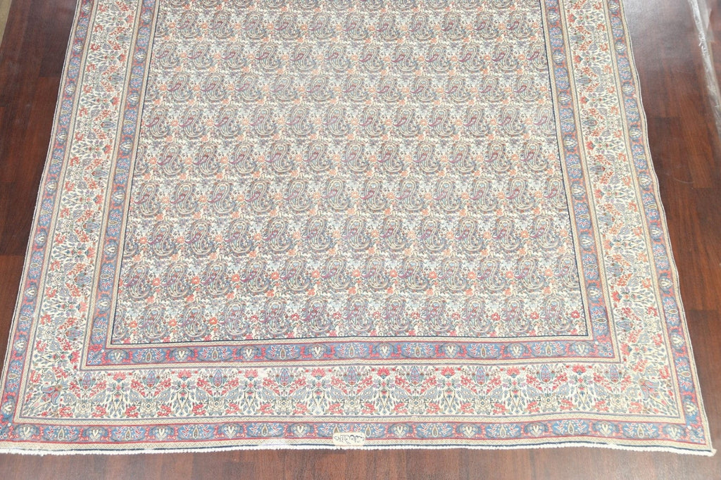 Muted Distressed Kerman Persian Area Rug 10x13