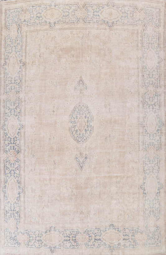 Muted Distressed Kerman Persian Area Rug 10x13