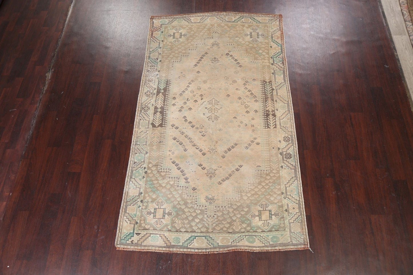 Pre-1900 Antique Shiraz Persian Area Rug 5x9