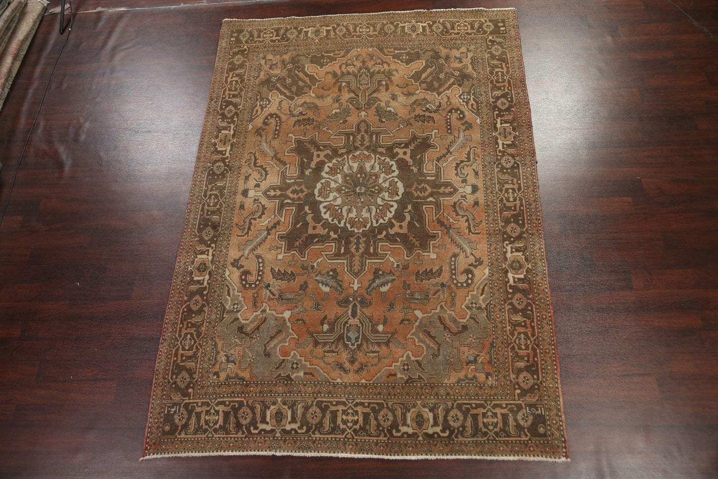 Antique Distressed Heriz Persian Area Rug 8x11