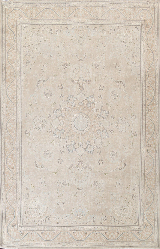 Muted Distressed Kerman Persian Area Rug 10x13