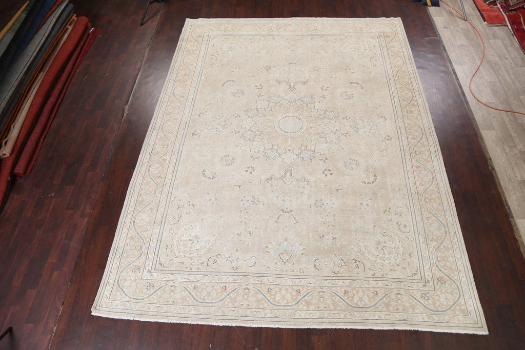 Muted Distressed Kerman Persian Area Rug 10x13