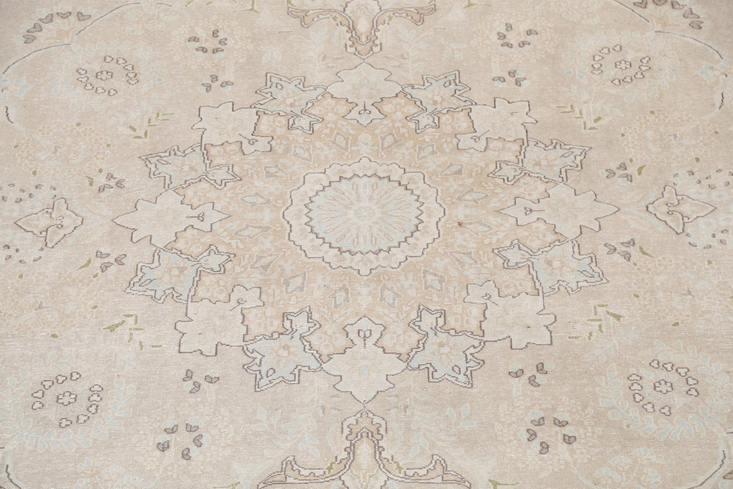 Muted Distressed Kerman Persian Area Rug 10x13