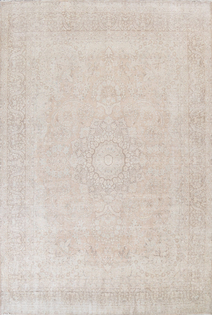 Muted Distressed Kerman Persian Area Rug 10x12