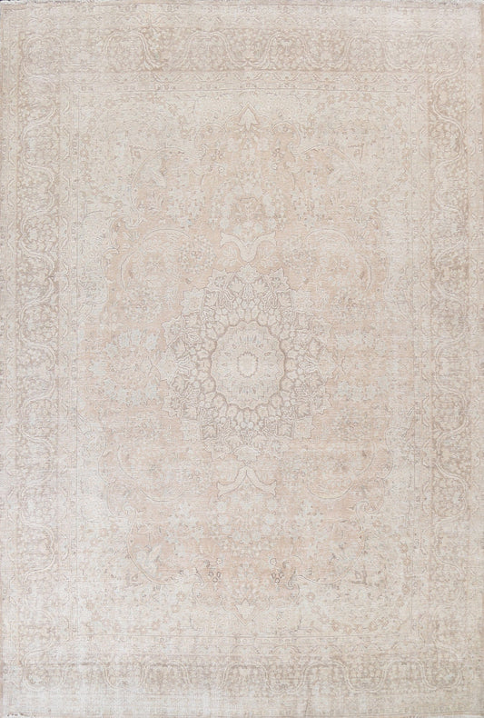 Muted Distressed Kerman Persian Area Rug 10x12