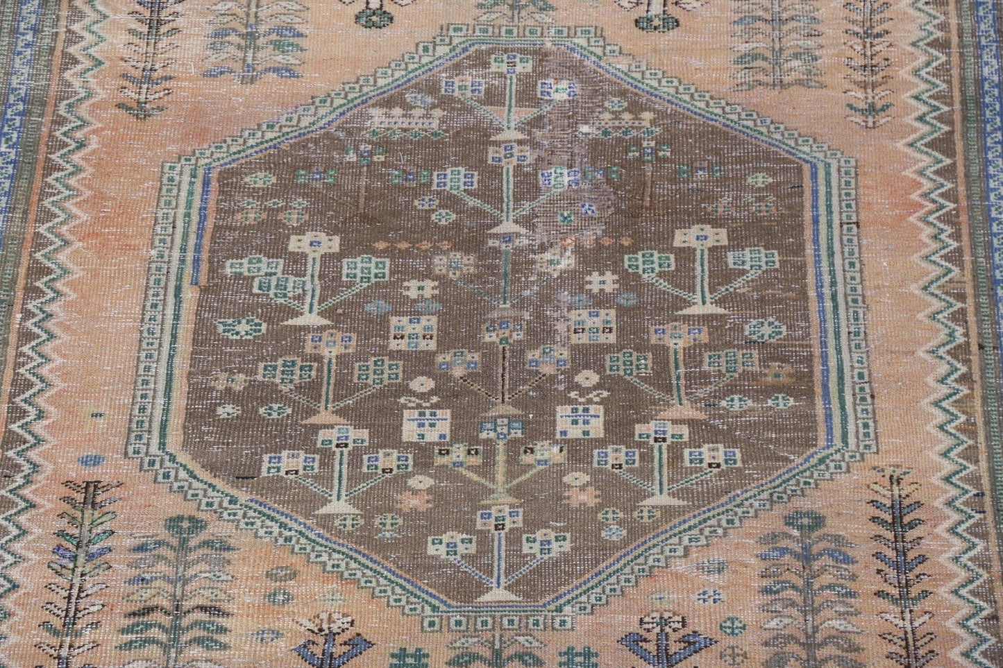 Muted Distressed Shiraz Persian Area Rug 6x10