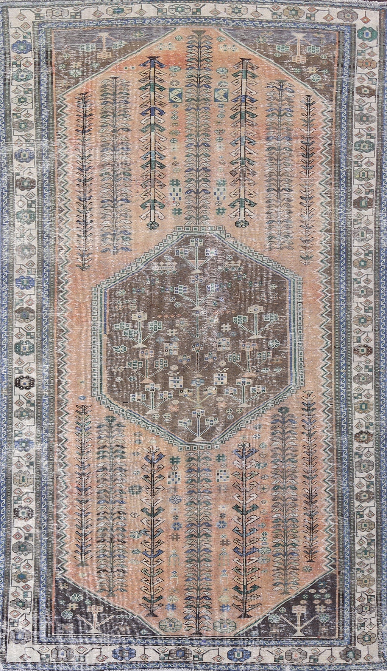 Muted Distressed Shiraz Persian Area Rug 6x10