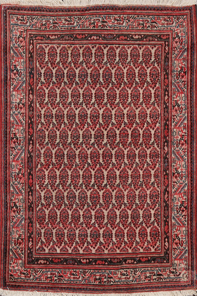 Antique Botemir Persian Wool Rug 3x5