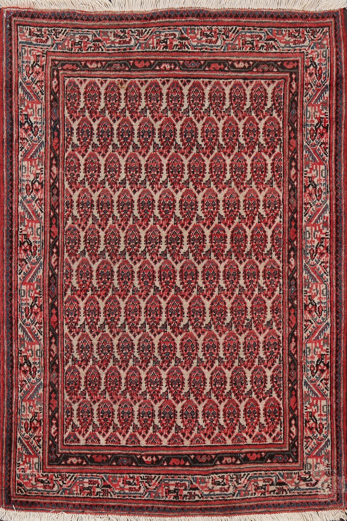 Antique Botemir Persian Wool Rug 3x5