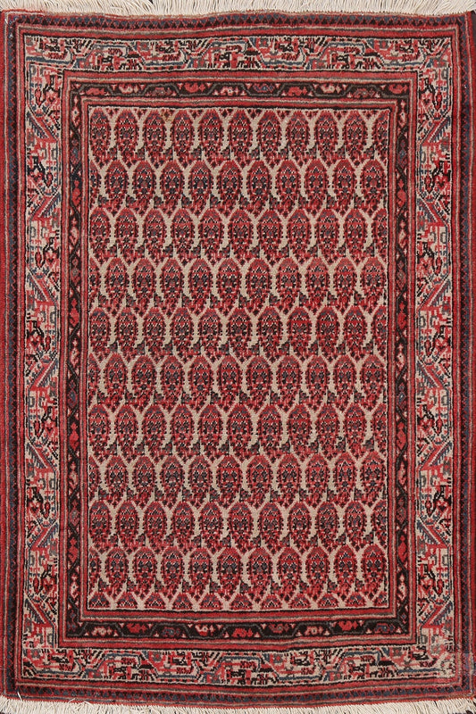 Antique Botemir Persian Wool Rug 3x5