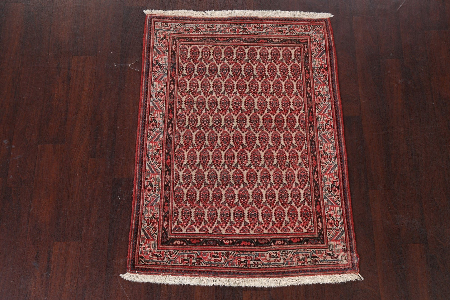 Antique Botemir Persian Wool Rug 3x5