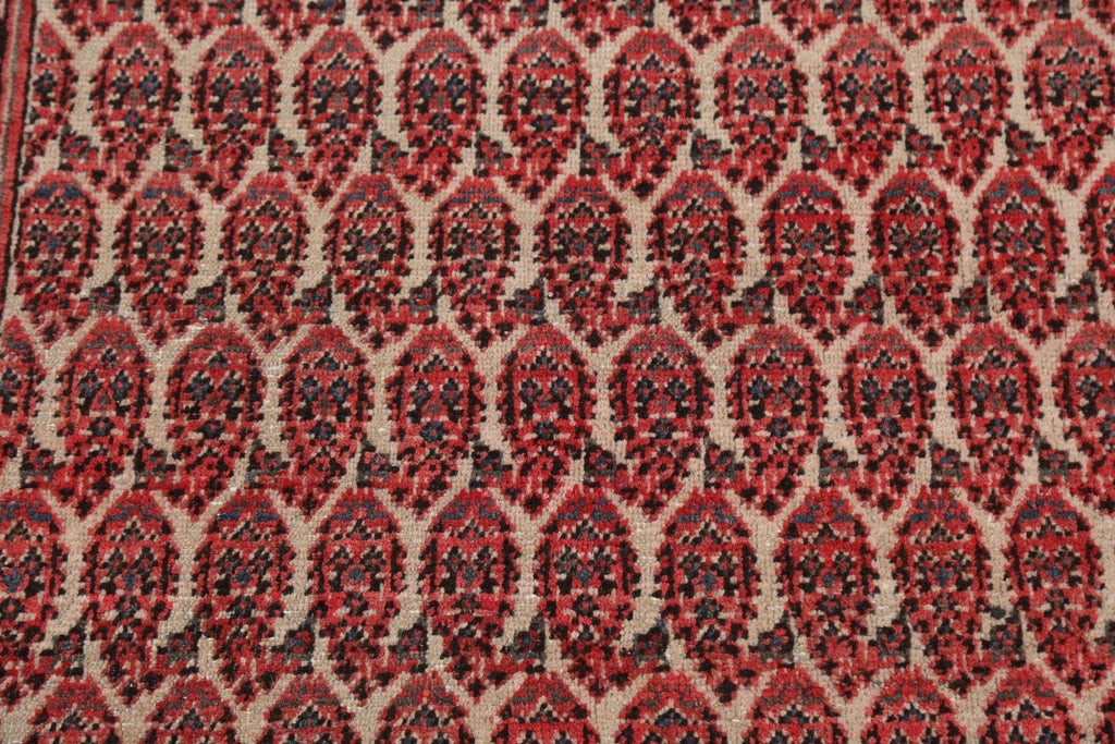 Antique Botemir Persian Wool Rug 3x5