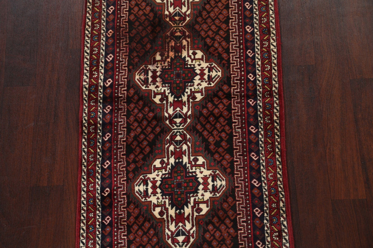 Wool Sirjan Persian Runner Rug 3x10