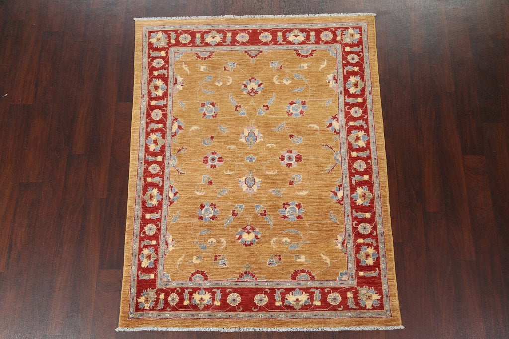 Vegetable Dye Oushak Wool Area Rug 5x6