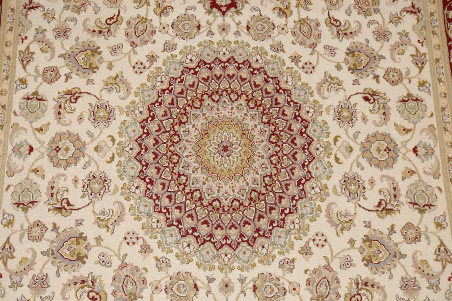 Vegetable Dye Tabriz Wool Area Rug 6x11