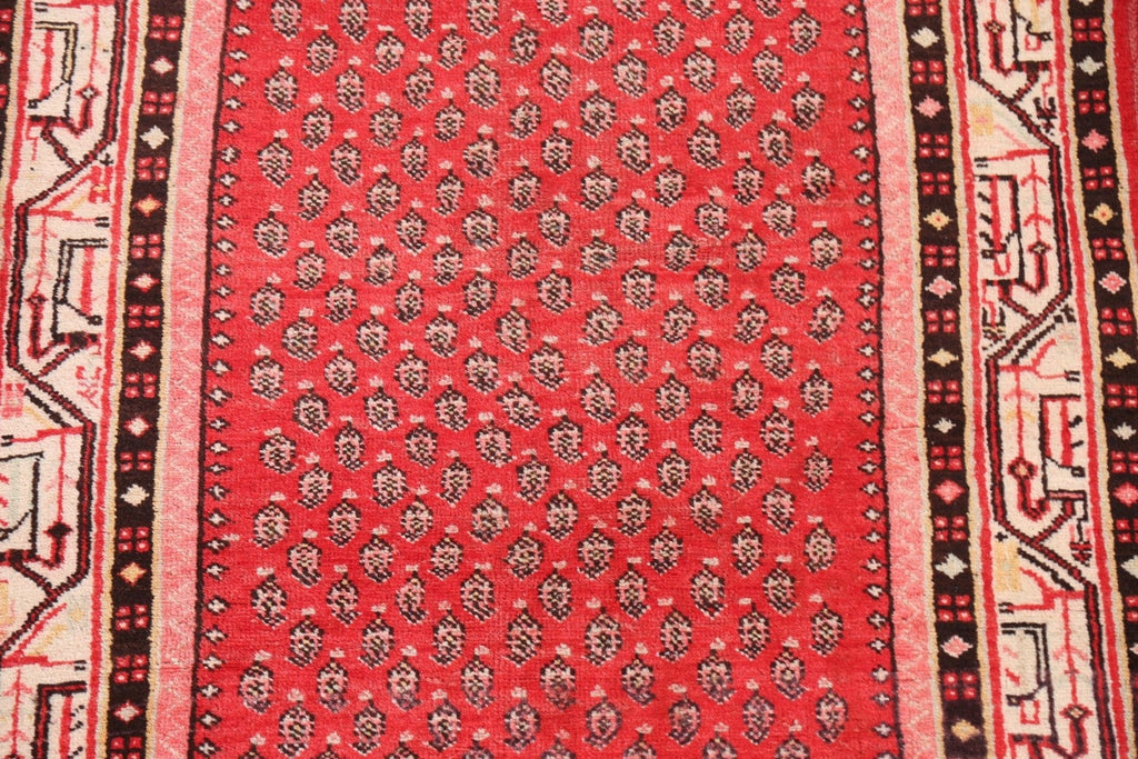 Boteh Botemir Persian Area Rug 4x7