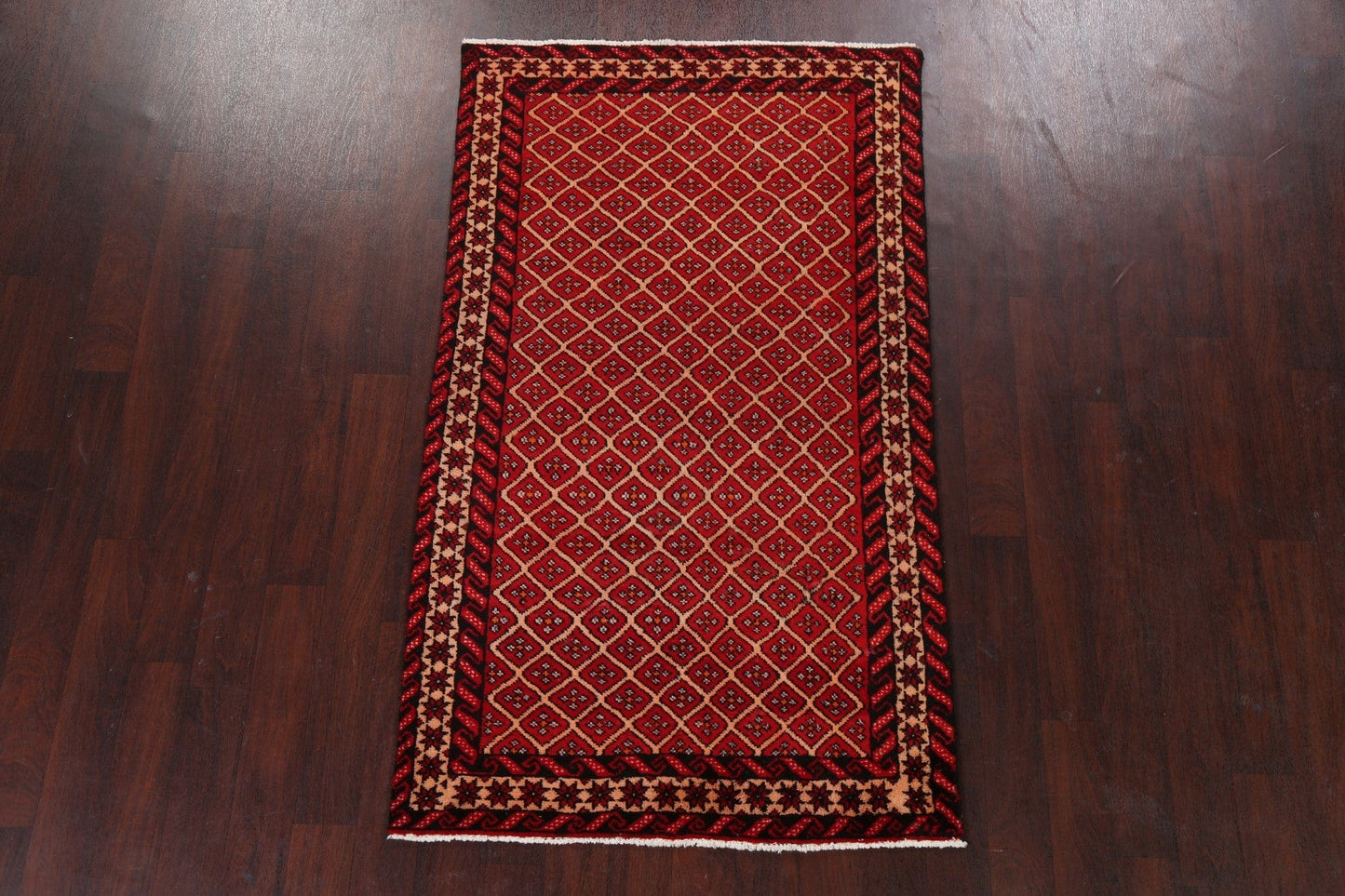 All-Over Balouch Persian Area Rug 4x7