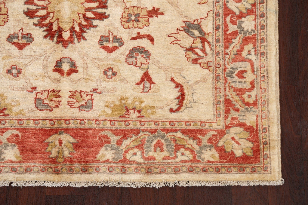 All-Over Peshawar Chobi Wool Area Rug 5x6