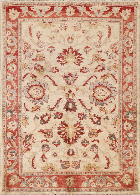 All-Over Peshawar Chobi Wool Area Rug 5x6