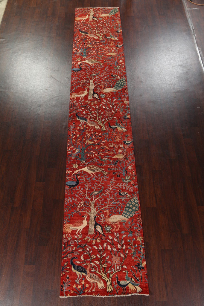 Vegetable Dye Tabriz Wool Runner Rug 3x17