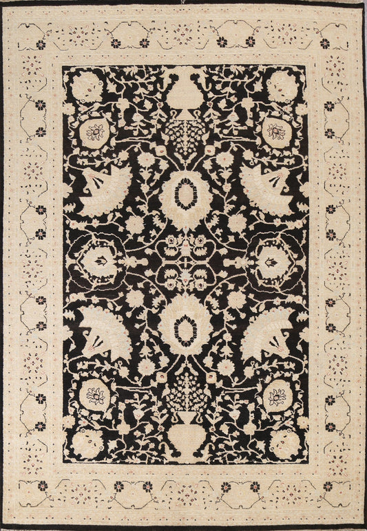 Black Oushak Chobi Handmade Wool Rug 8x10