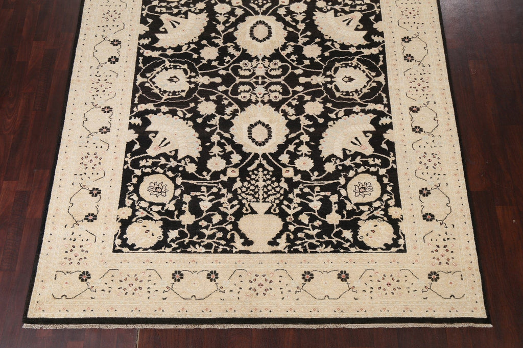 Black Oushak Chobi Handmade Wool Rug 8x10