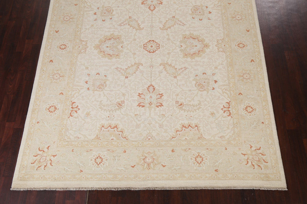 Handmade Peshawar Chobi Wool Area Rug 8x10