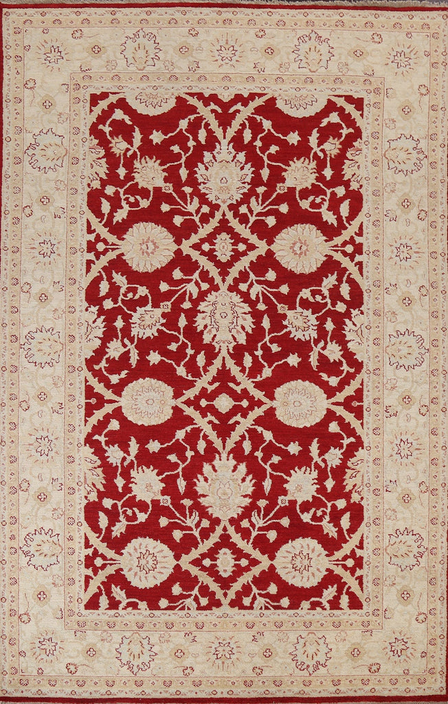 Floral Red Peshawar Chobi Wool Area Rug 7x10