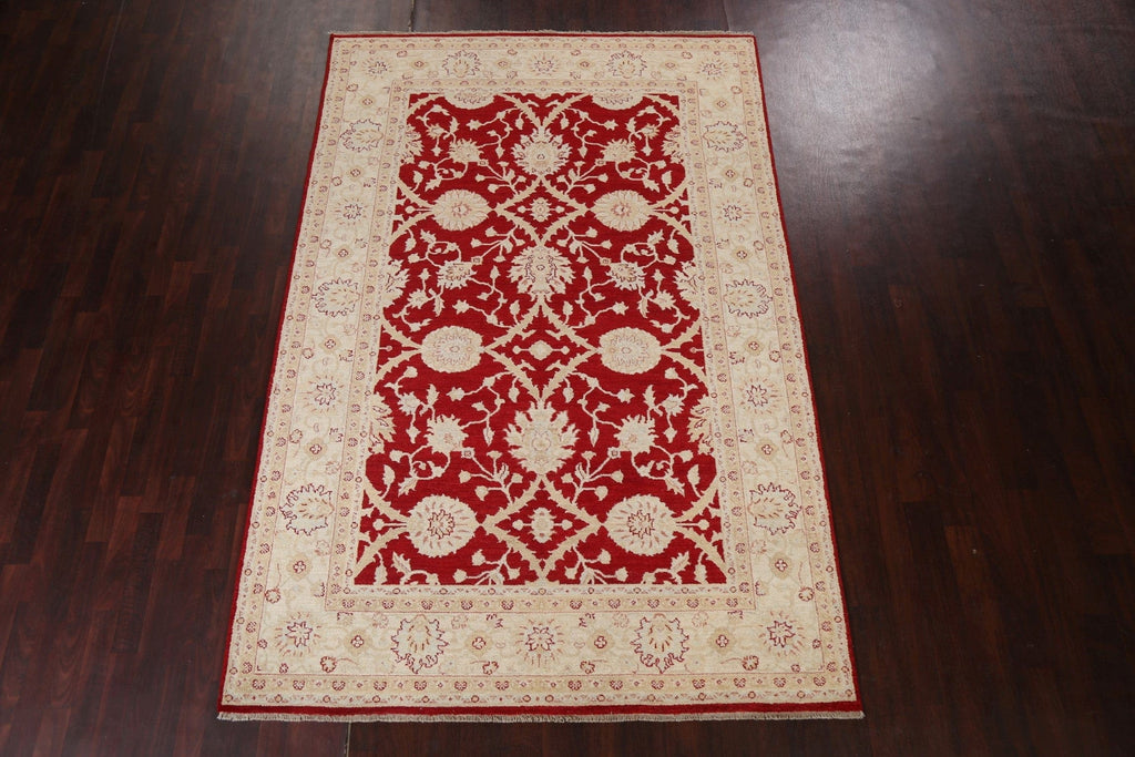 Floral Red Peshawar Chobi Wool Area Rug 7x10