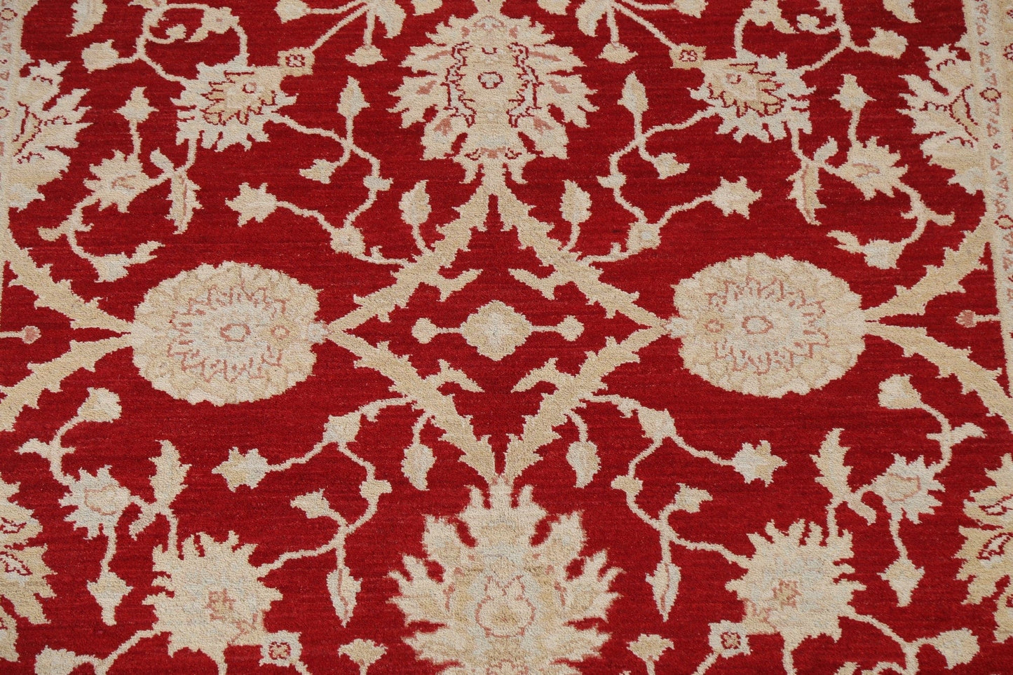 Floral Red Peshawar Chobi Wool Area Rug 7x10