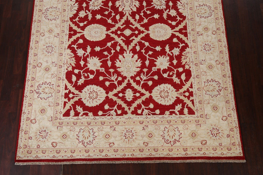 Floral Red Peshawar Chobi Wool Area Rug 7x10