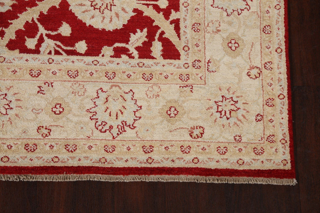 Floral Red Peshawar Chobi Wool Area Rug 7x10