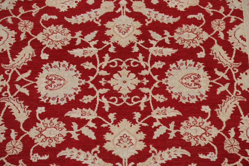 Red Floral Peshawar Chobi Wool Area Rug 7x10