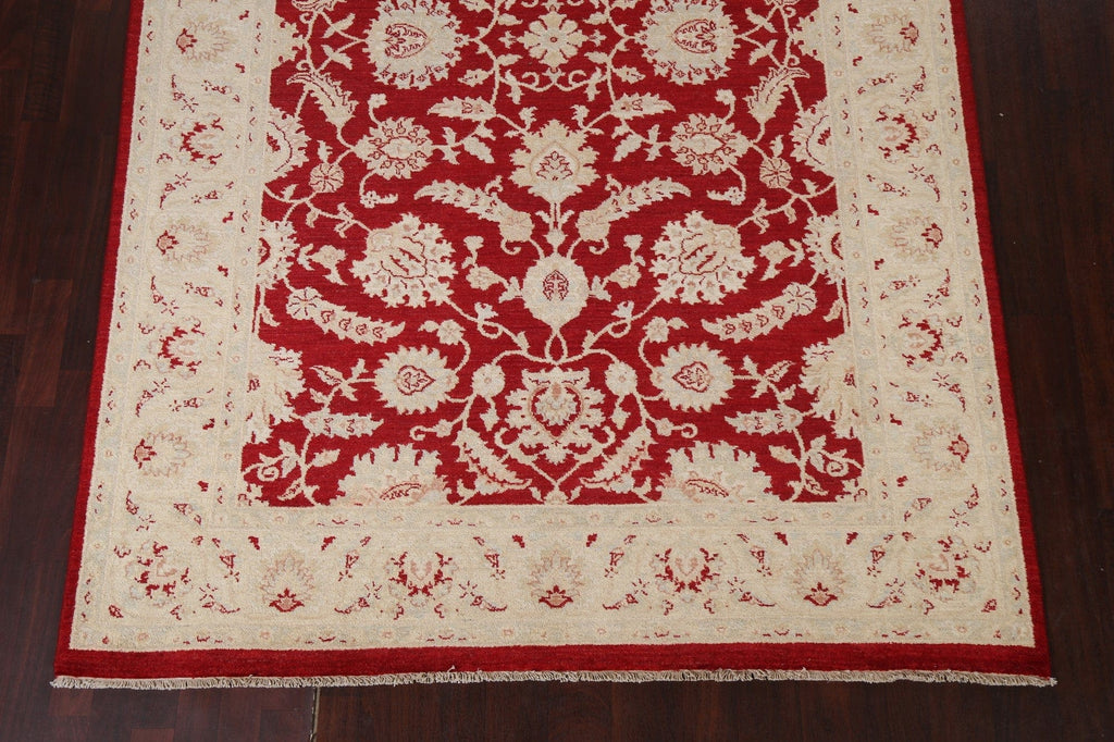 Red Floral Peshawar Chobi Wool Area Rug 7x10