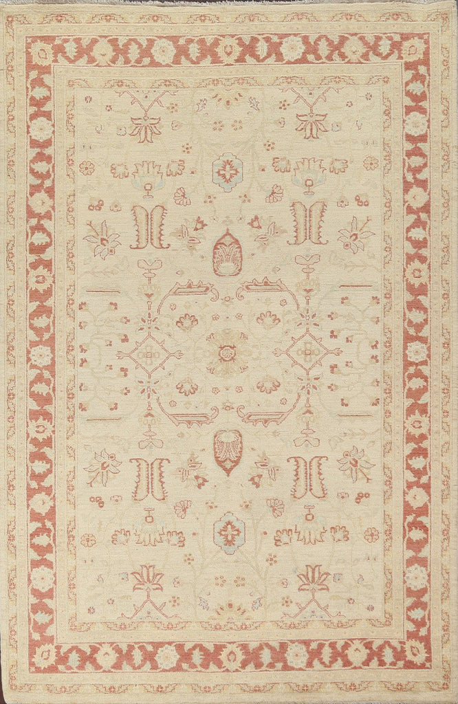 Vegetable Dye Peshawar Chobi Oriental Area Rug 7x10