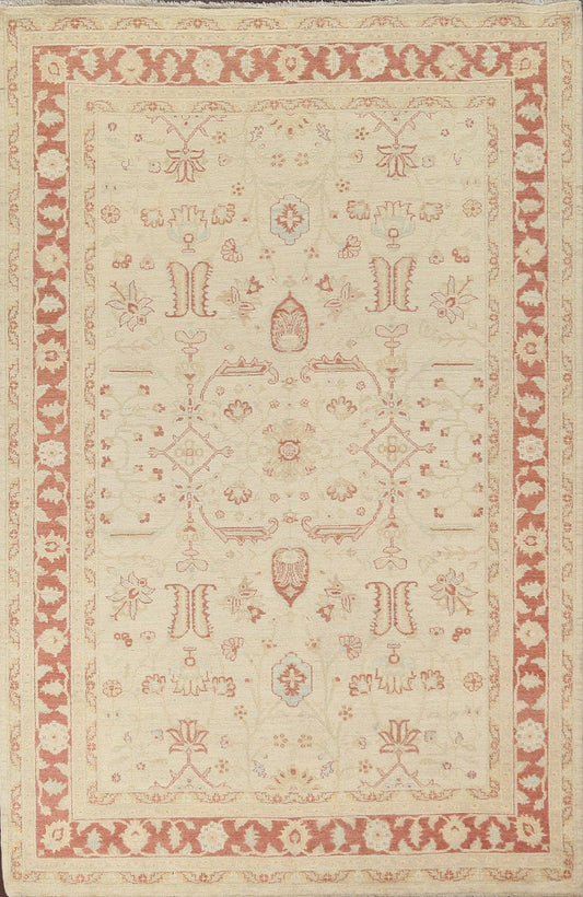 Vegetable Dye Peshawar Chobi Oriental Area Rug 7x10