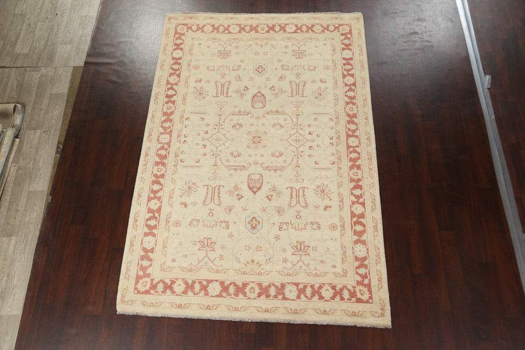 Vegetable Dye Peshawar Chobi Oriental Area Rug 7x10