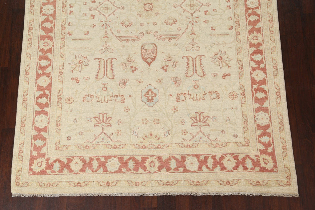 Vegetable Dye Peshawar Chobi Oriental Area Rug 7x10