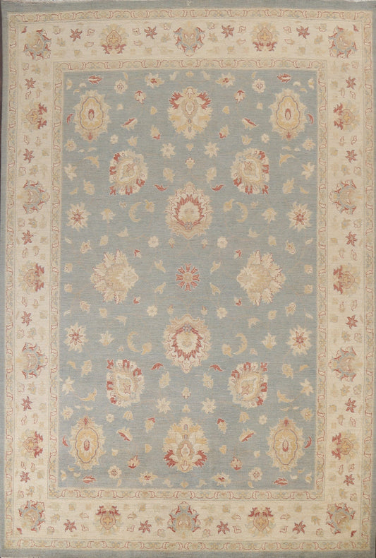 Vegetable Dye Peshawar Chobi Oriental Area Rug 9x12