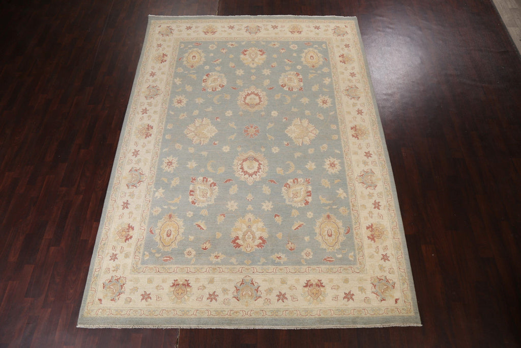 Vegetable Dye Peshawar Chobi Oriental Area Rug 9x12