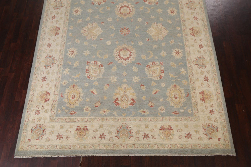 Vegetable Dye Peshawar Chobi Oriental Area Rug 9x12