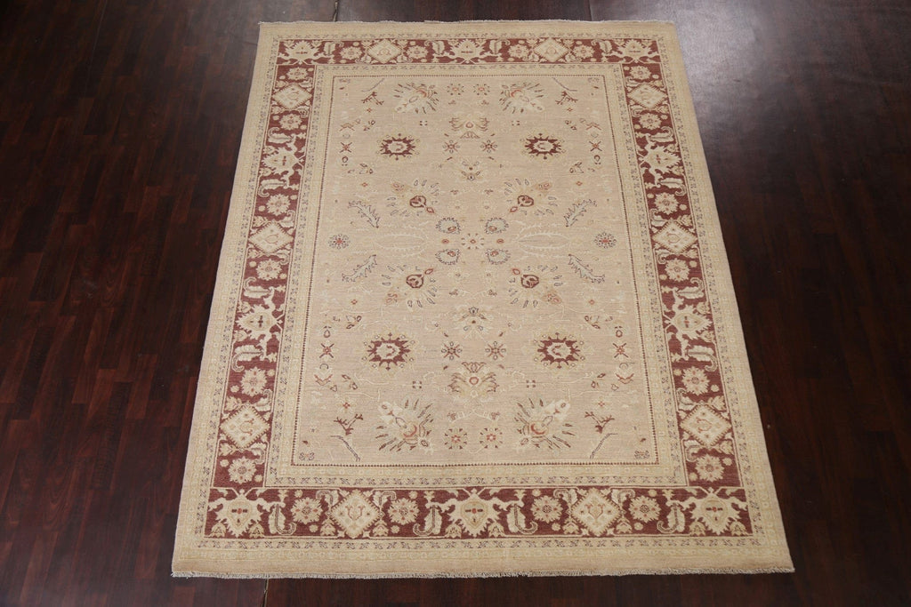 Vegetable Dye Peshawar Chobi Oriental Area Rug 8x10