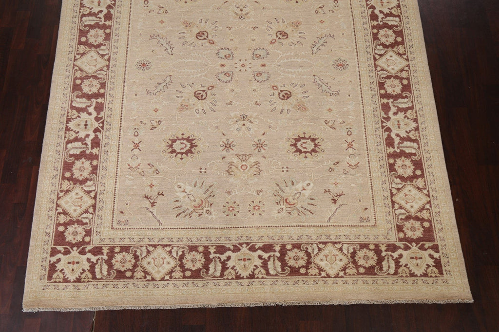 Vegetable Dye Peshawar Chobi Oriental Area Rug 8x10