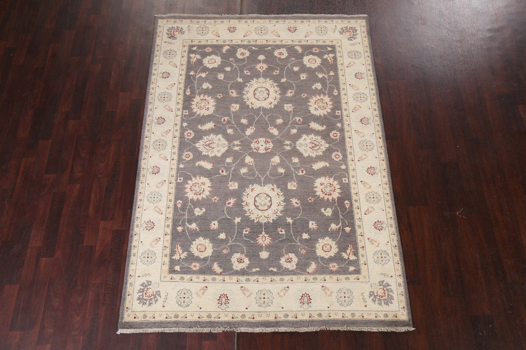 Vegetable Dye Peshawar Chobi Handmade Area Rug 6x8