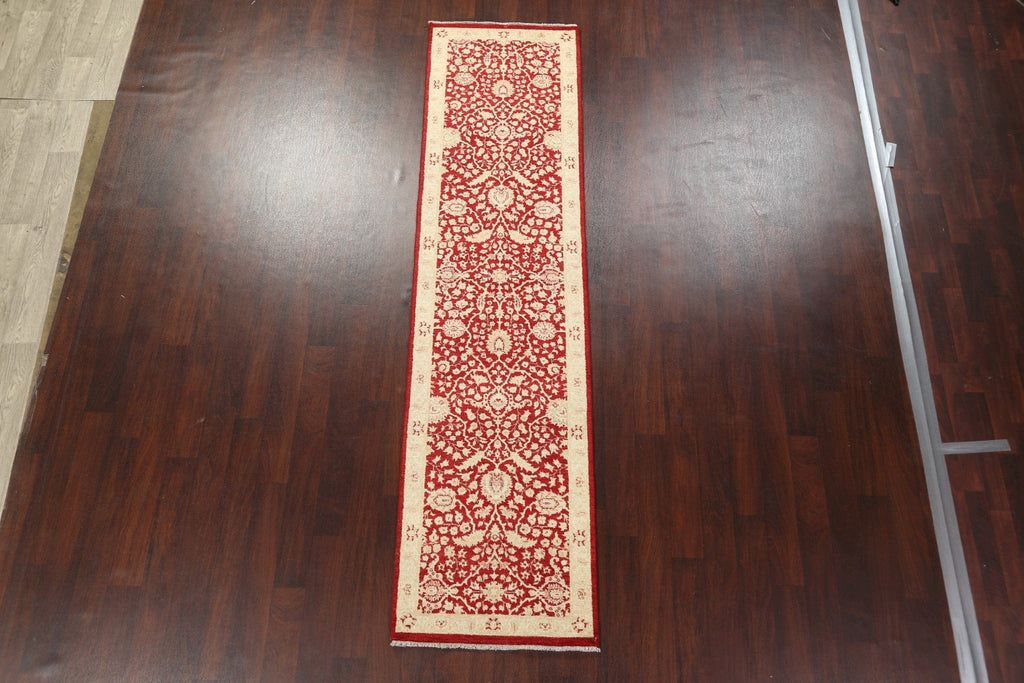 Vegetable Dye Peshawar Chobi Oriental Runner Rug 3x10