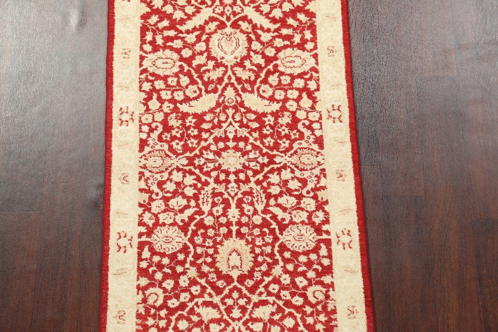 Vegetable Dye Peshawar Chobi Oriental Runner Rug 3x10