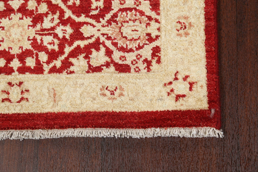 Vegetable Dye Peshawar Chobi Oriental Runner Rug 3x10