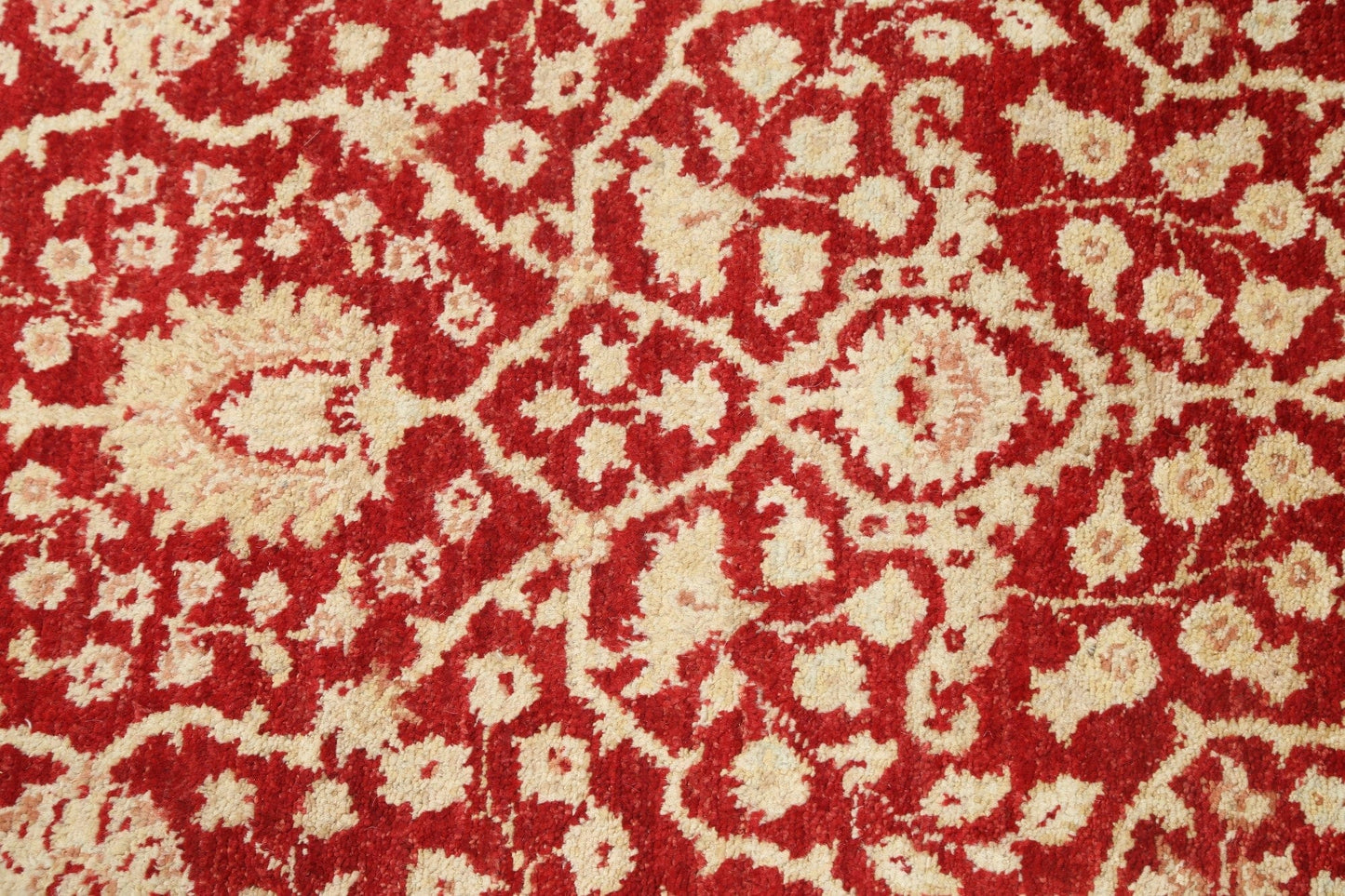 Vegetable Dye Peshawar Chobi Oriental Runner Rug 3x10